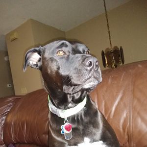 Meet your Posher, Kelly jo